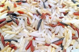 سه نوع برنج رایج مصرفی، برنج قهوه‌ای، برنج قرمز و برنج سفید و یک نوع برنج وحشی سیاه