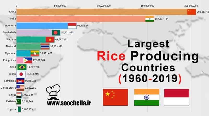 20 تولیدکننده بزرگ برنج